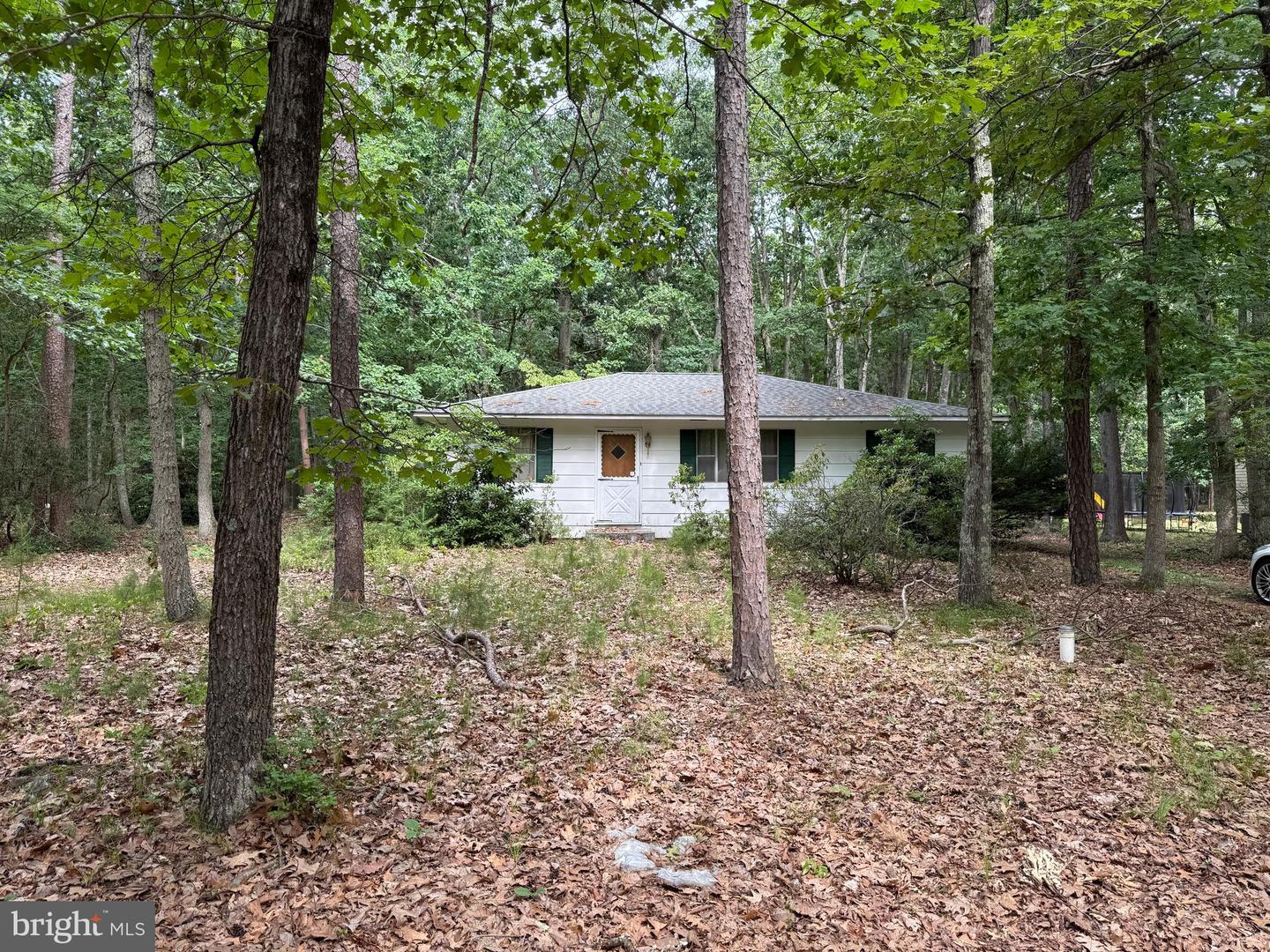 227 Oakshade Rd Property Photo 17