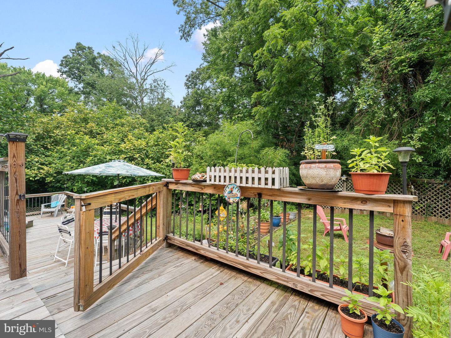 52 Devon Rd Property Photo 33