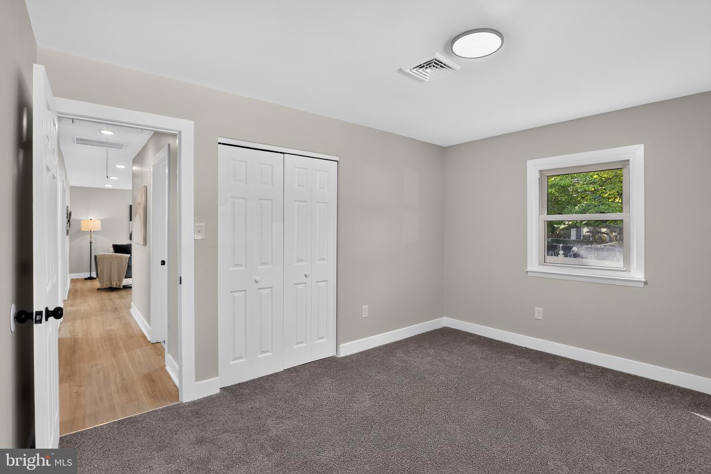 118 Carlisle St Property Photo 19