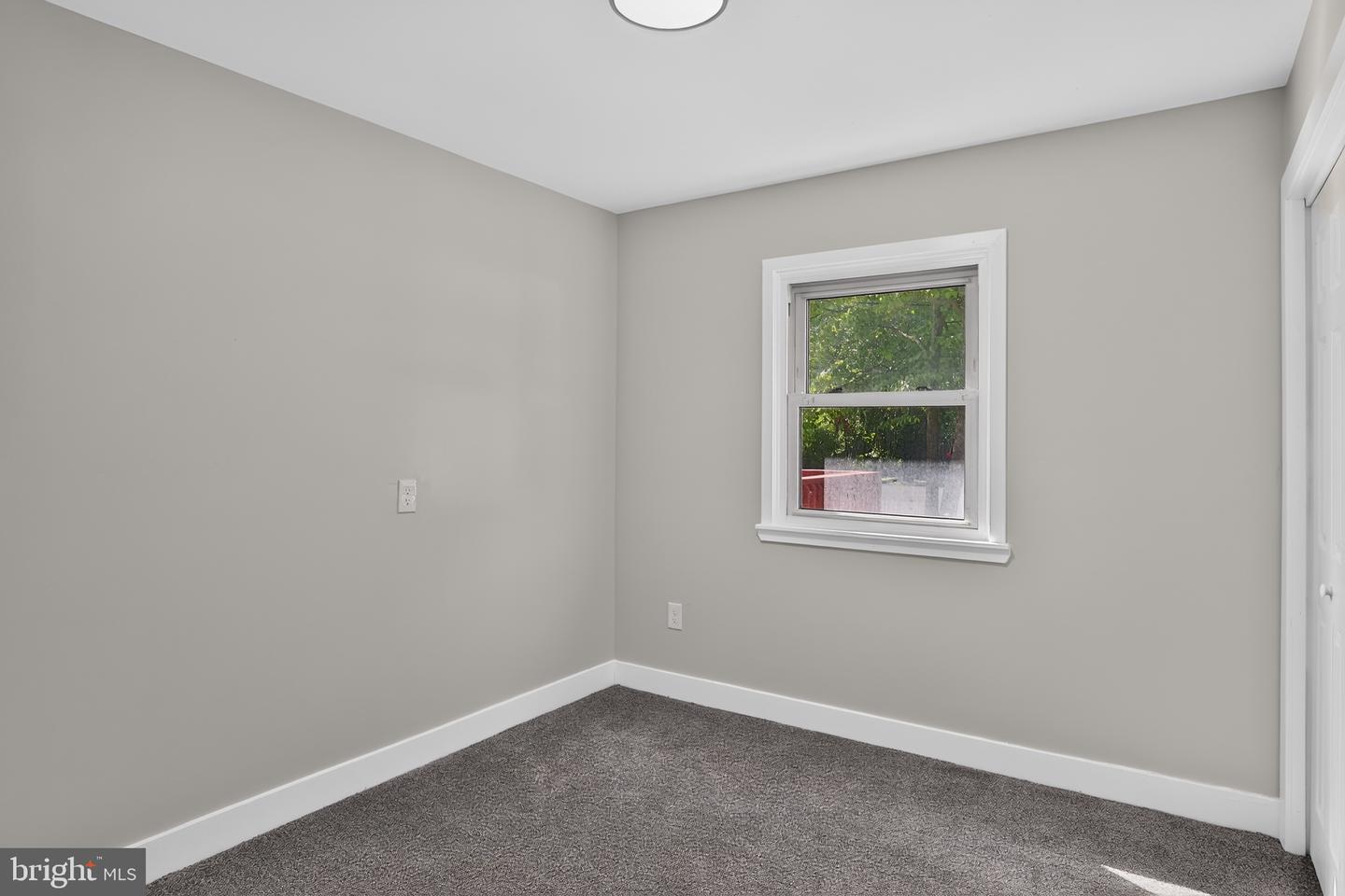 118 Carlisle St Property Photo 21