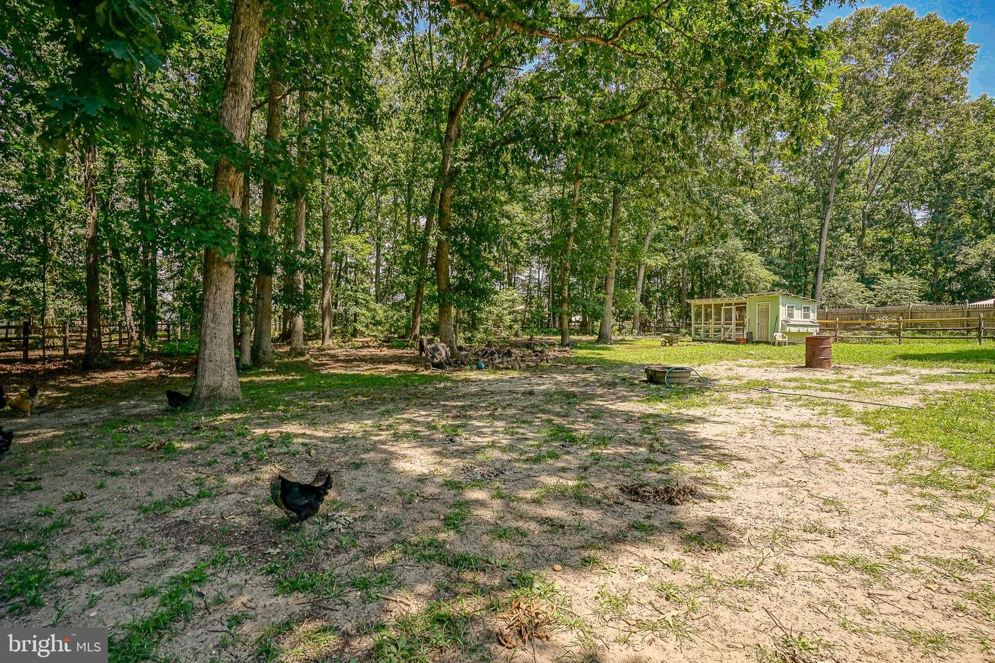 23 Shawnee Trl Property Photo 17