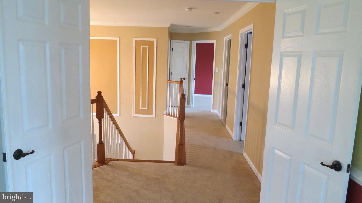 3 Lardner Rd Property Photo 19