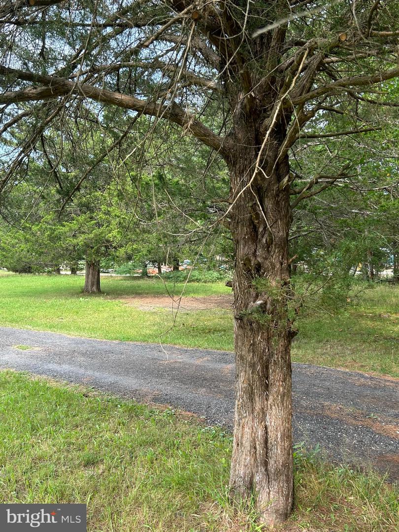 5 Patten Ln Property Photo 8