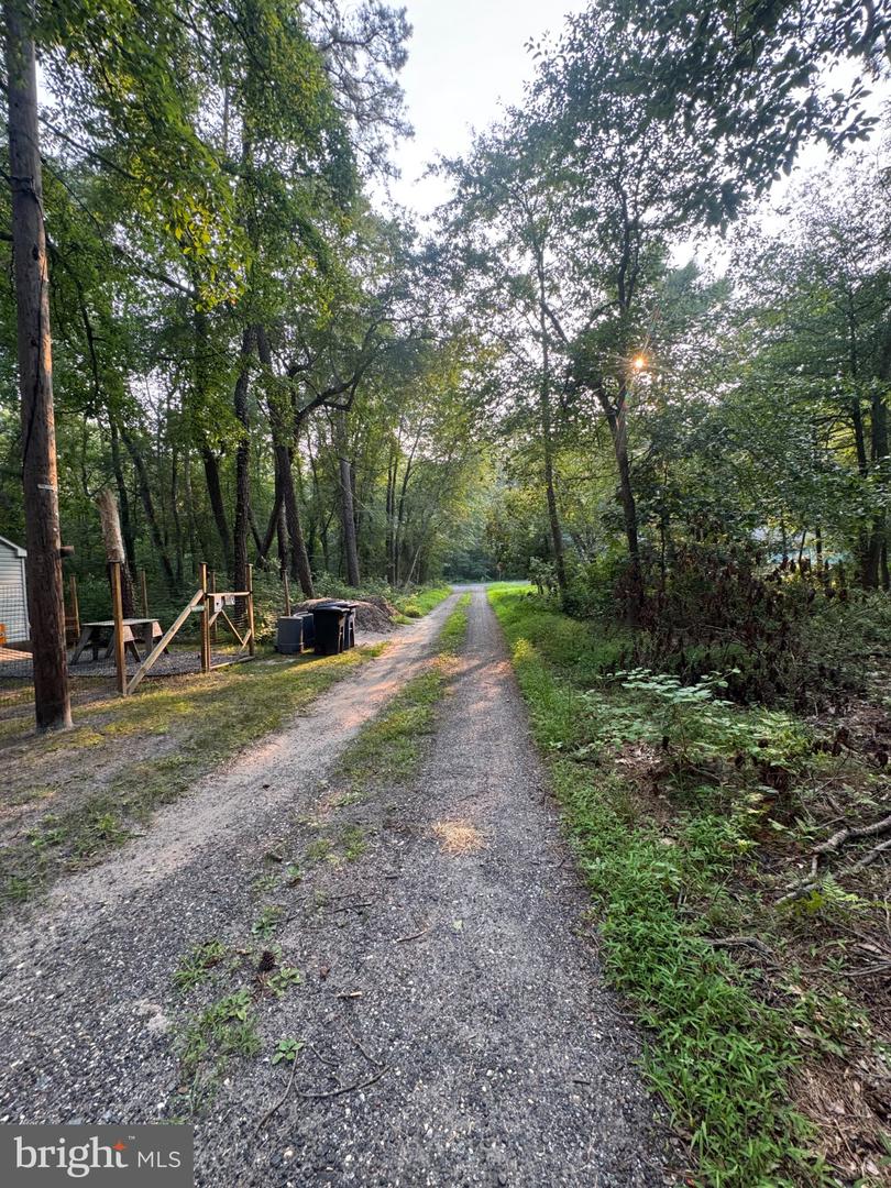 320 Hemlock Ave Property Photo 13