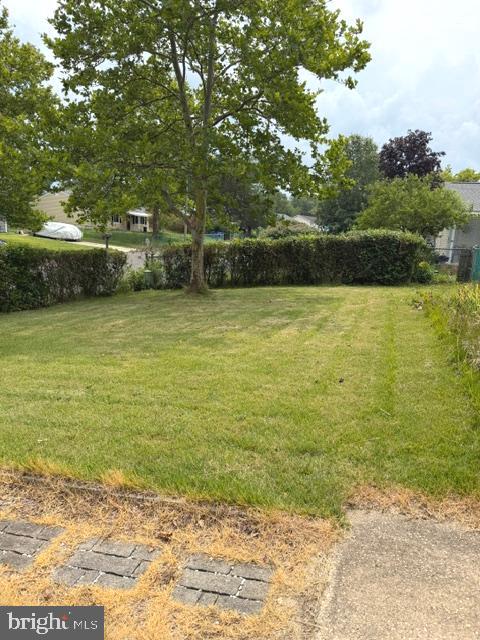 22 Scammell Dr Property Photo 16