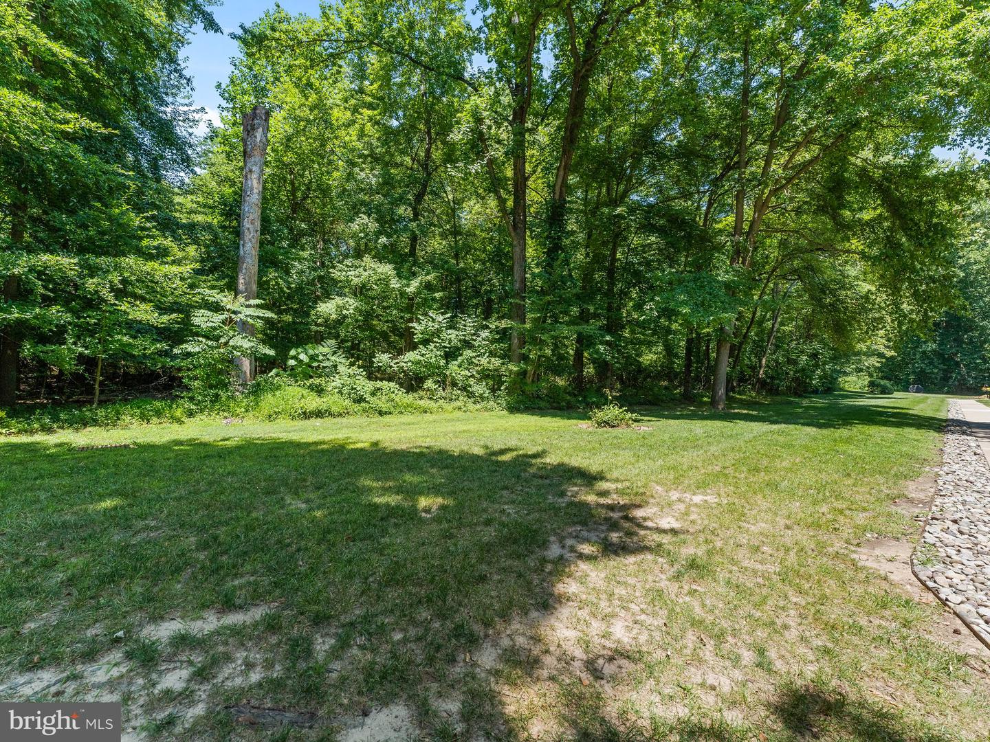 115 E Kings Hwy #438 Property Photo 23