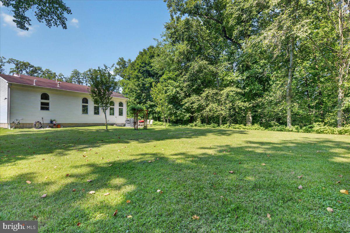 98a Dunns Mill Rd Property Photo 42