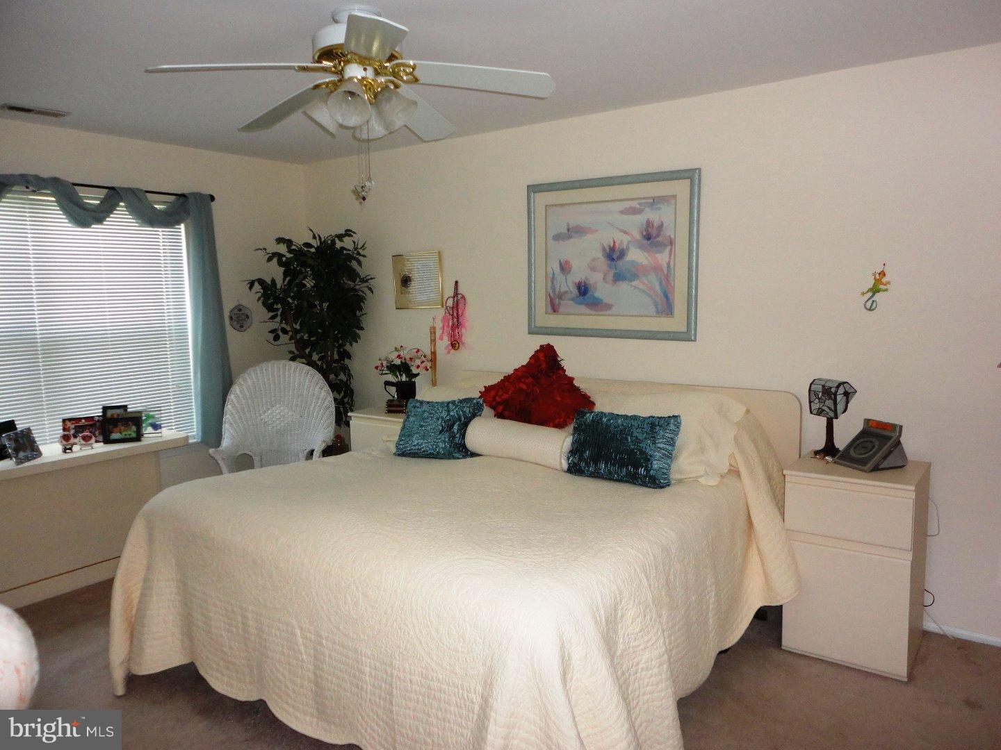 4603a Adelaide Dr Property Photo 6