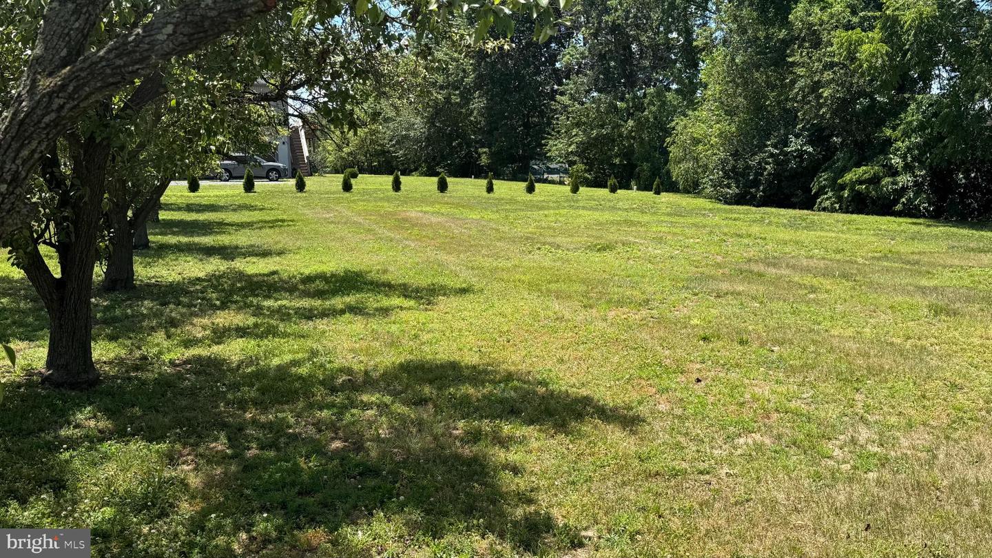 11 A S Fork Landing Property Photo 2