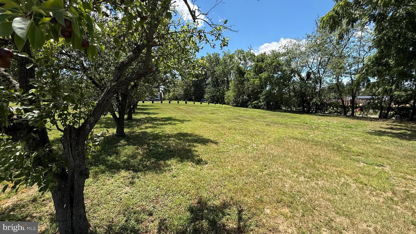 11 A S Fork Landing Property Photo 3