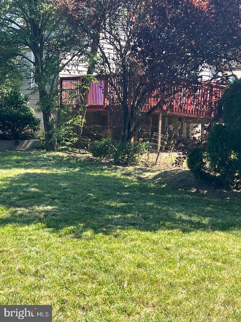 30 Spruce Ave #a Property Photo 57