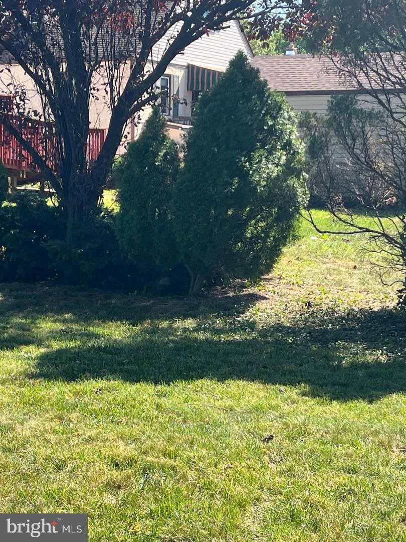 30 Spruce Ave #a Property Photo 58