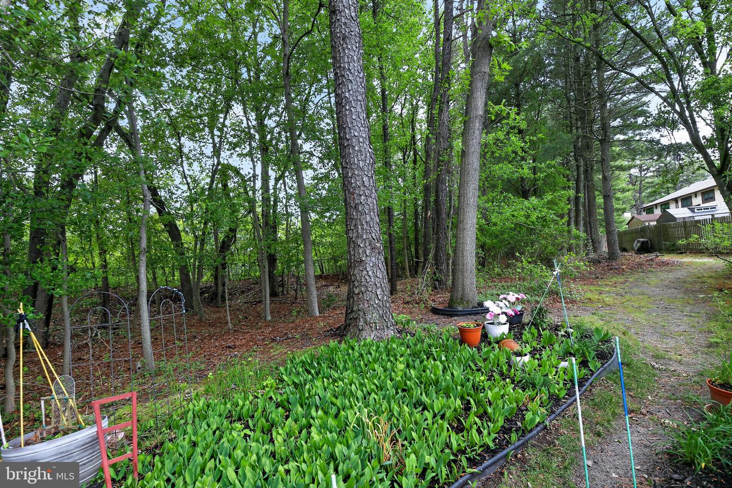 22 FIVE CROWN ROYAL Property Photo 1