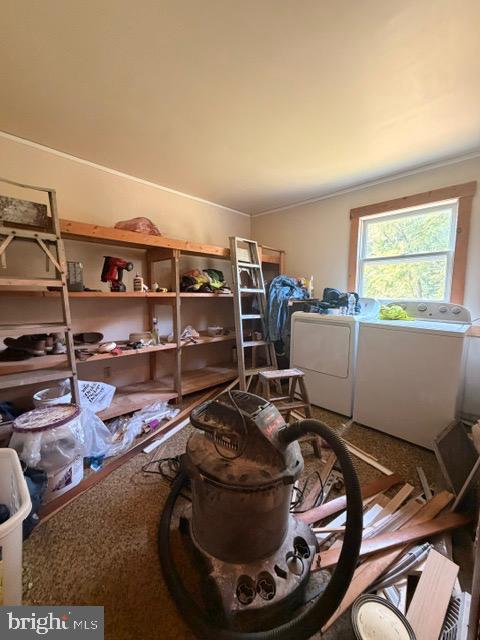 187 Colemansbridge Property Photo 16