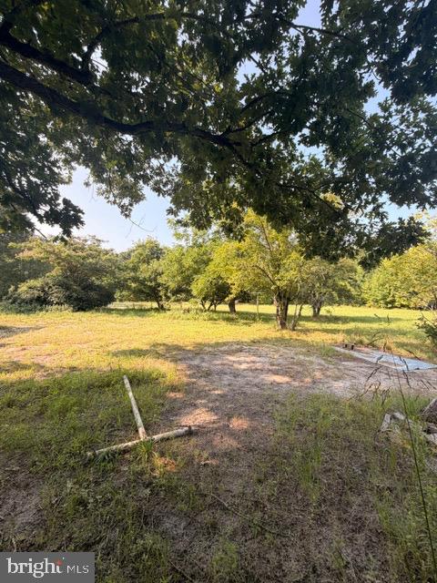 187 Colemansbridge Property Photo 29