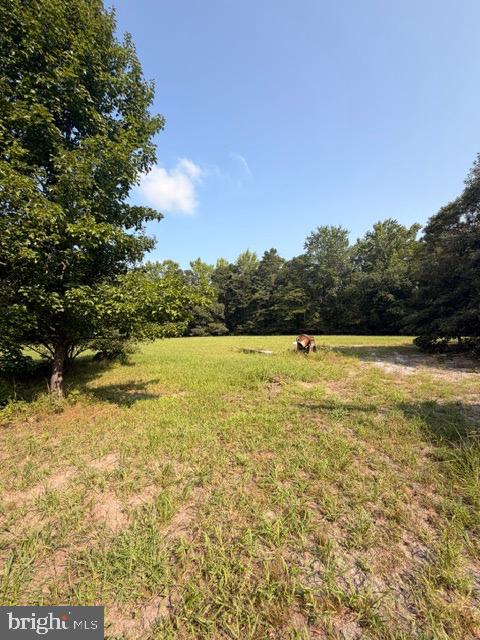 187 Colemansbridge Property Photo 30
