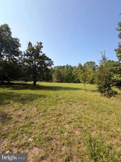 187 Colemansbridge Property Photo 31