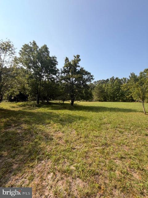 187 Colemansbridge Property Photo 32