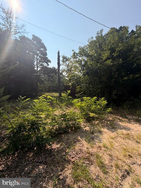 187 Colemansbridge Property Photo 35