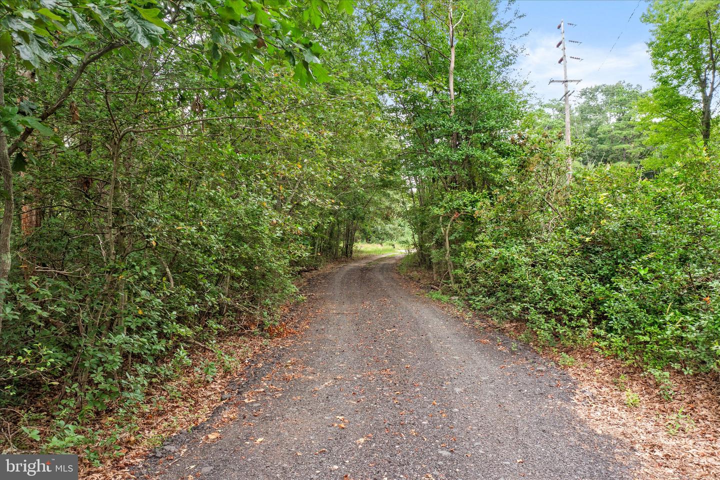 187 Colemansbridge Property Photo 50