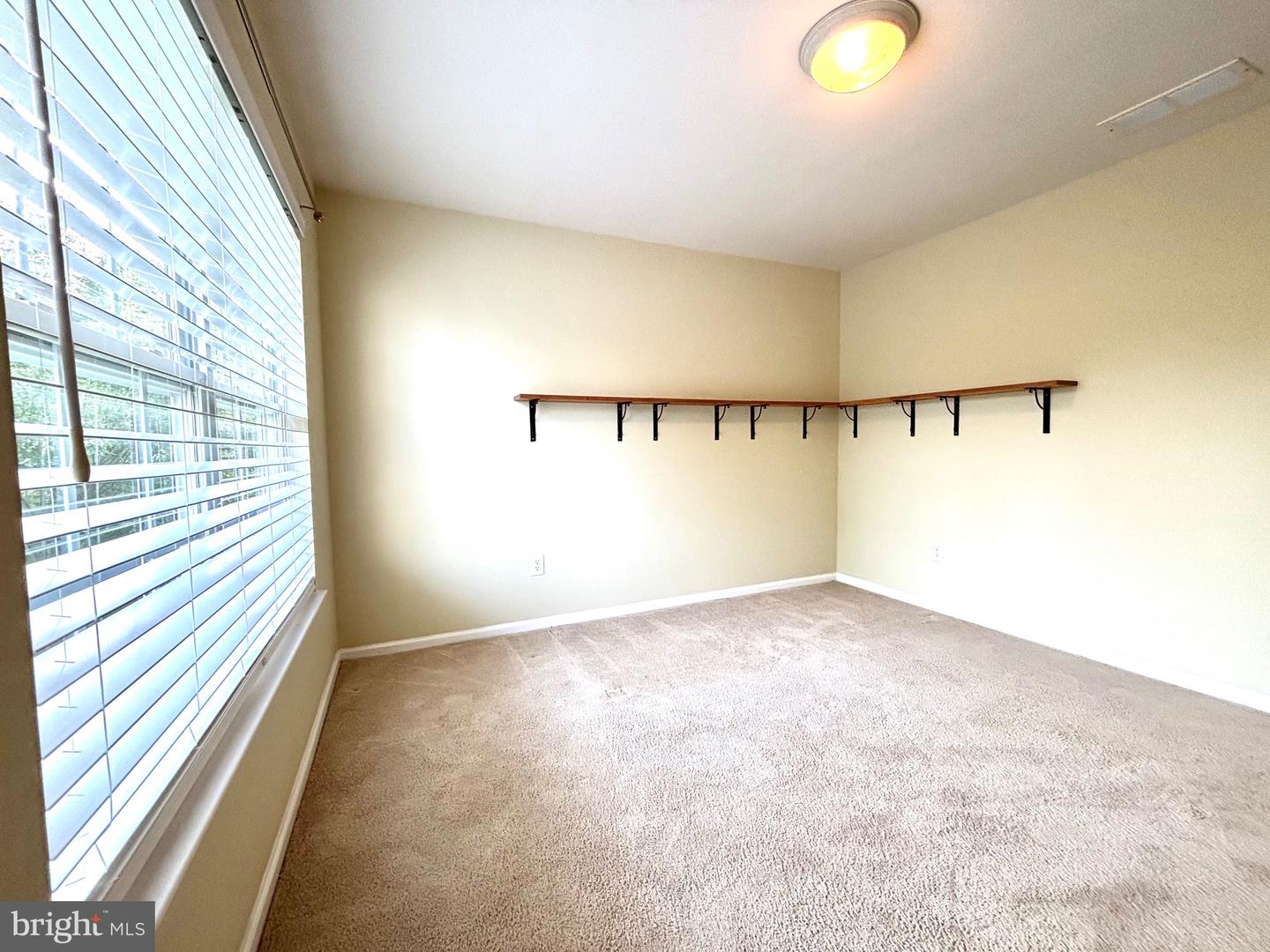 7408 Baltimore Dr Property Photo 18
