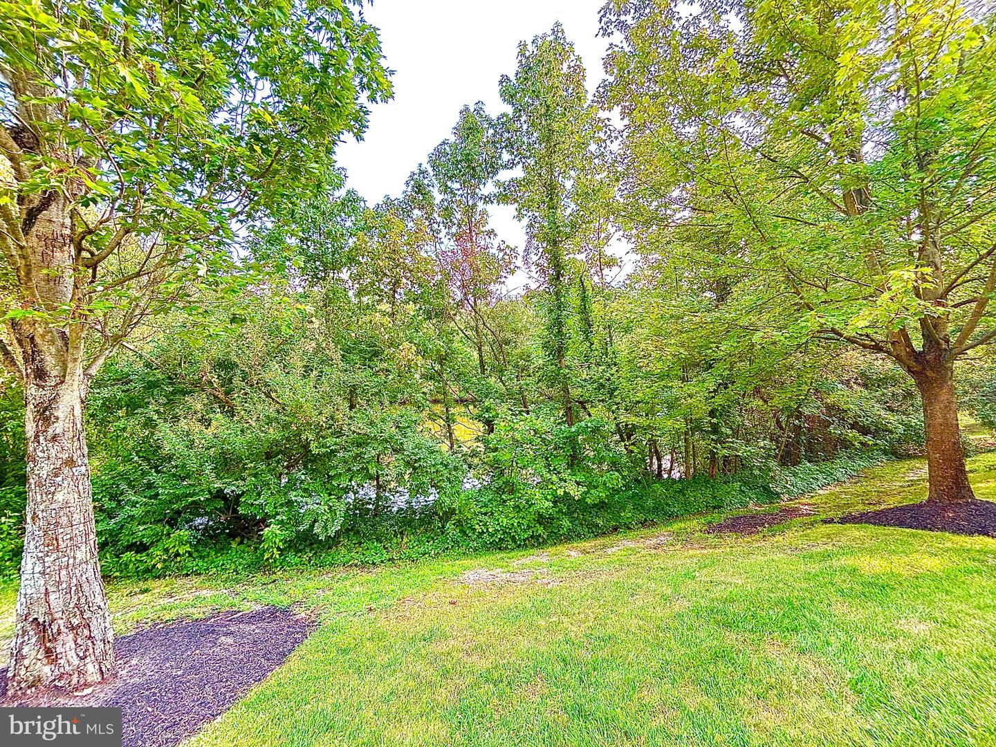 7408 Baltimore Dr Property Photo 34