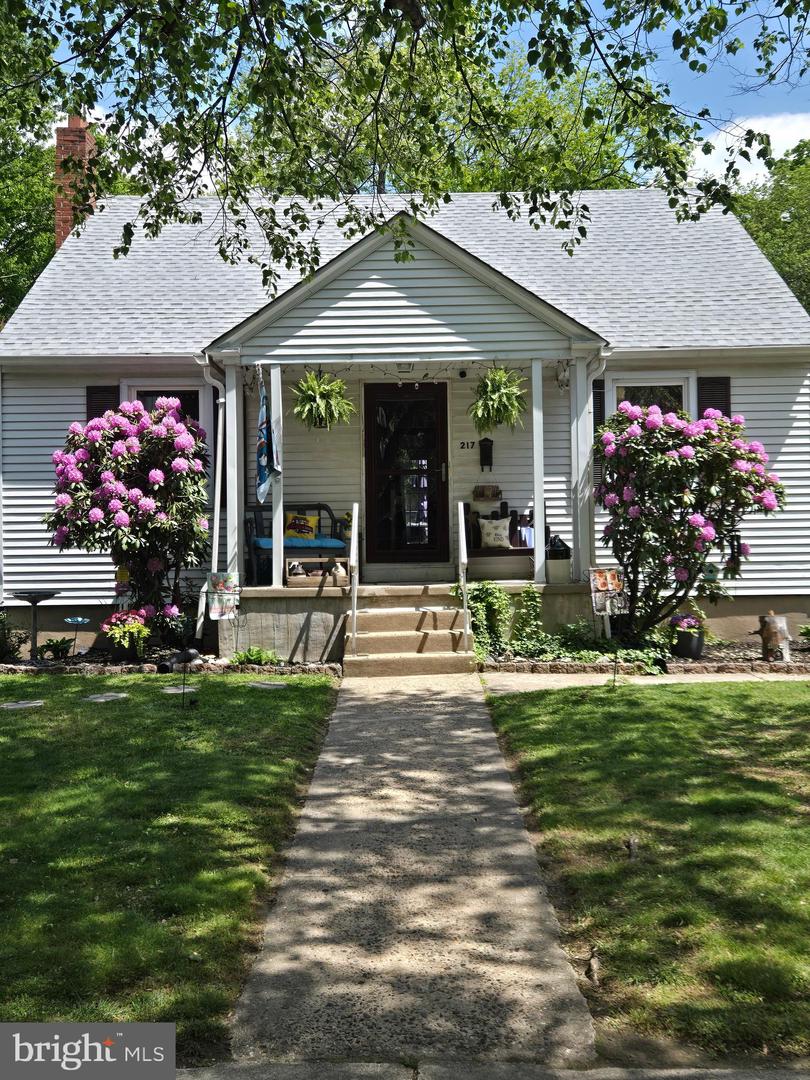 217 ELM AVE