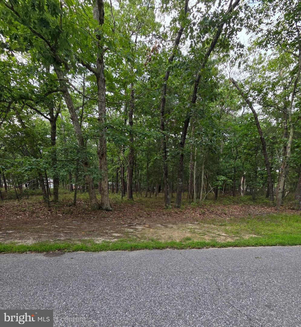 643 Avenue C Property Photo 1