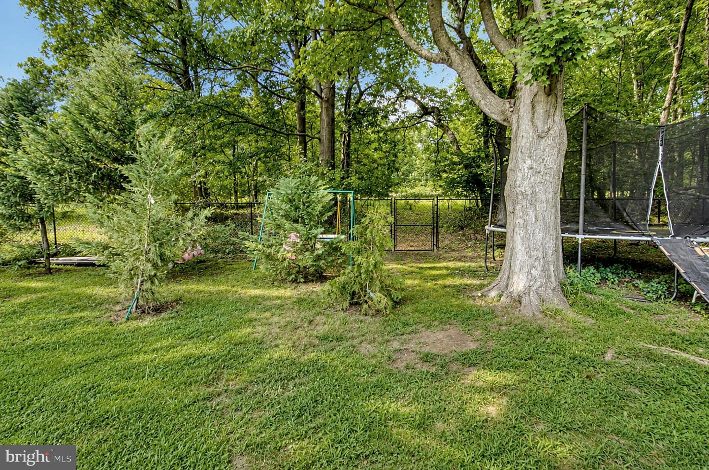 256 Ramblewood Pkwy Property Photo 63