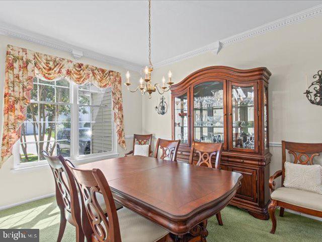 12 Whitford Dr Property Photo 11