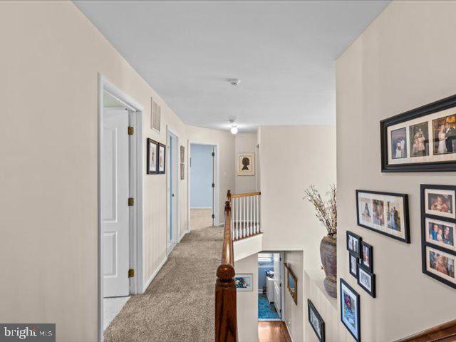 12 Whitford Dr Property Photo 32