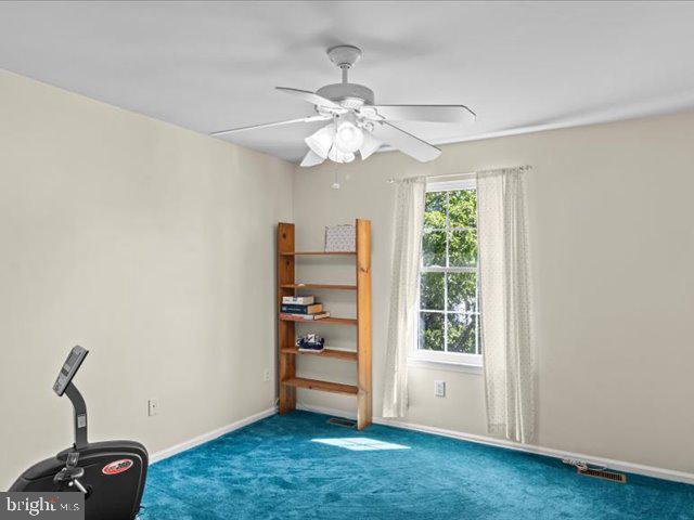 12 Whitford Dr Property Photo 38