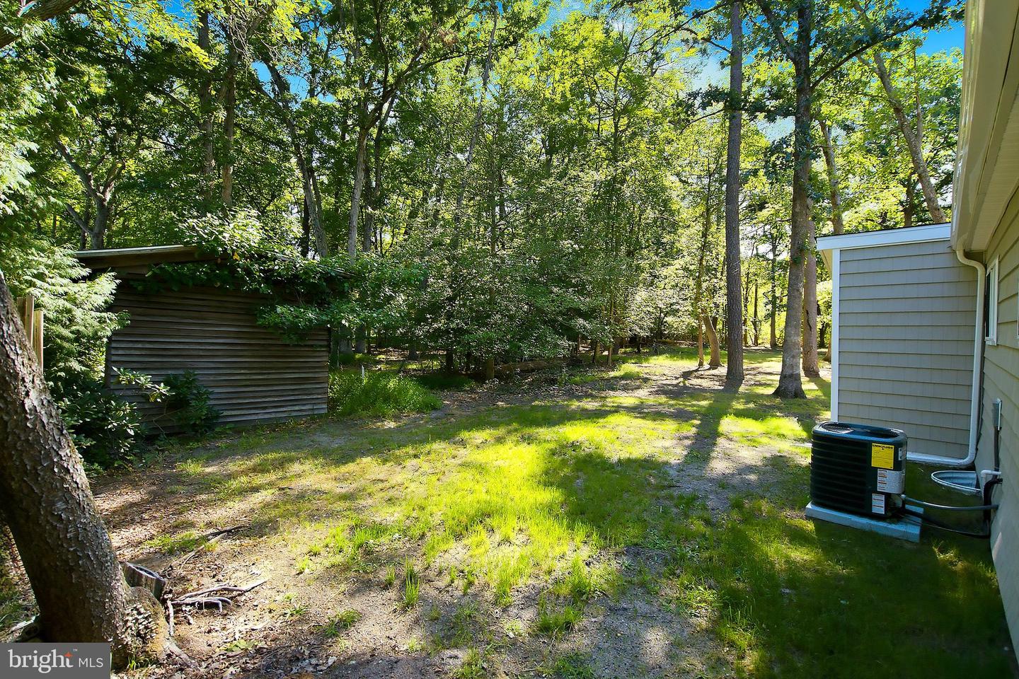 43 Bishop St Property Photo 24