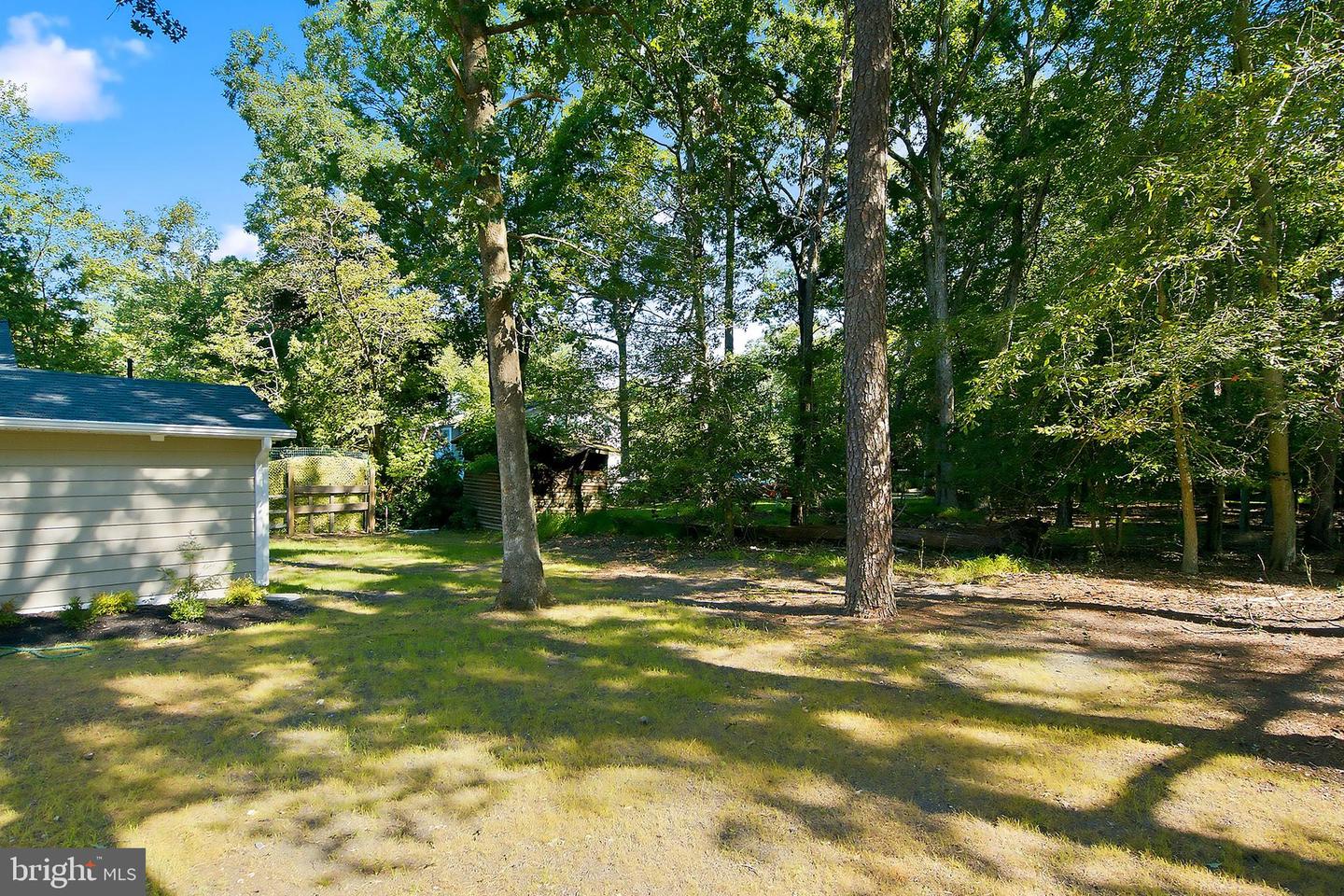 43 Bishop St Property Photo 32