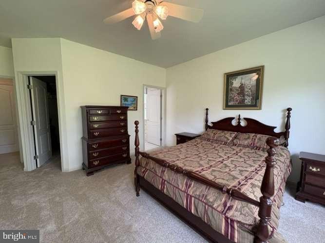 12 Iris Ct Property Photo 18