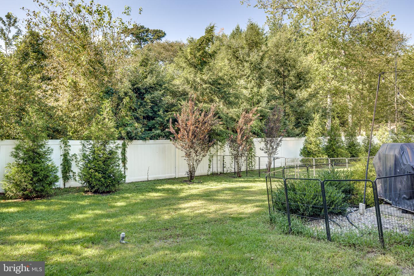 221 Forest Ave Property Photo 30