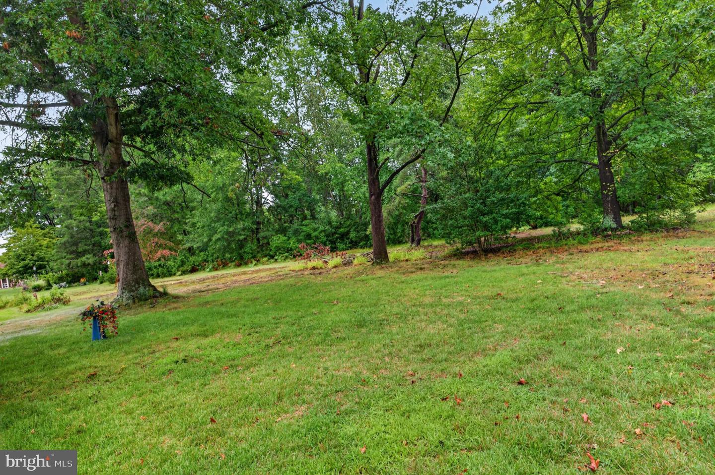 NJBL2119878 Property Photo 21