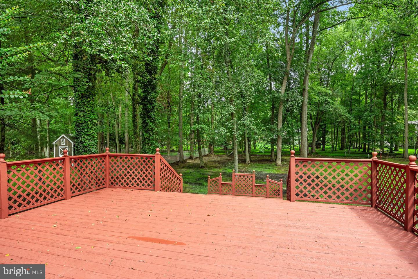 46 Georgia Trl Property Photo 26