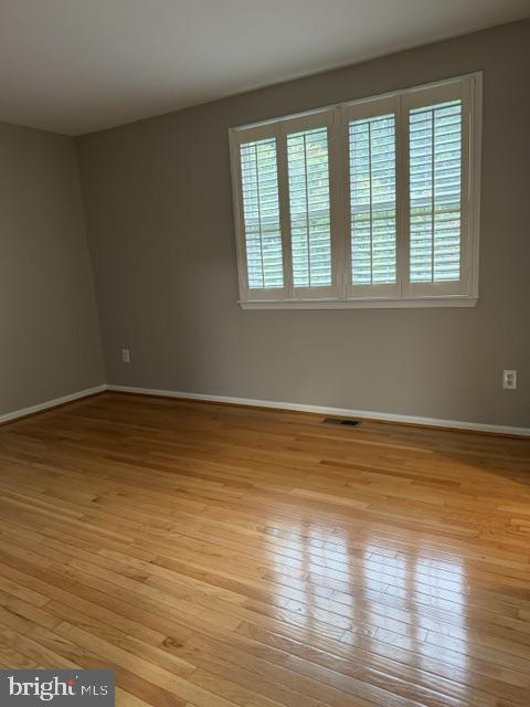 324-unit D Dawson St #d Property Photo 11