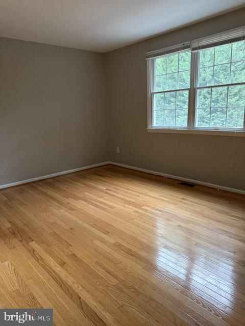 324-unit D Dawson St #d Property Photo 13