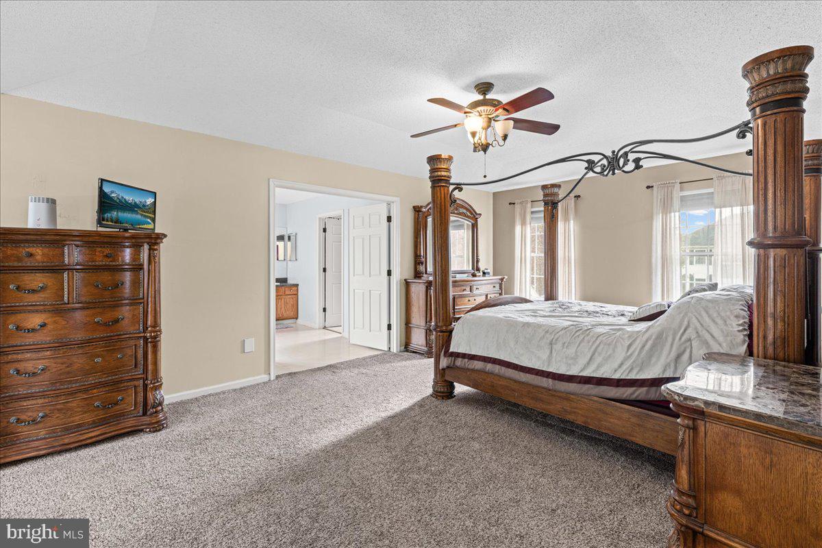 4 Dimsdale Dr Property Photo 32