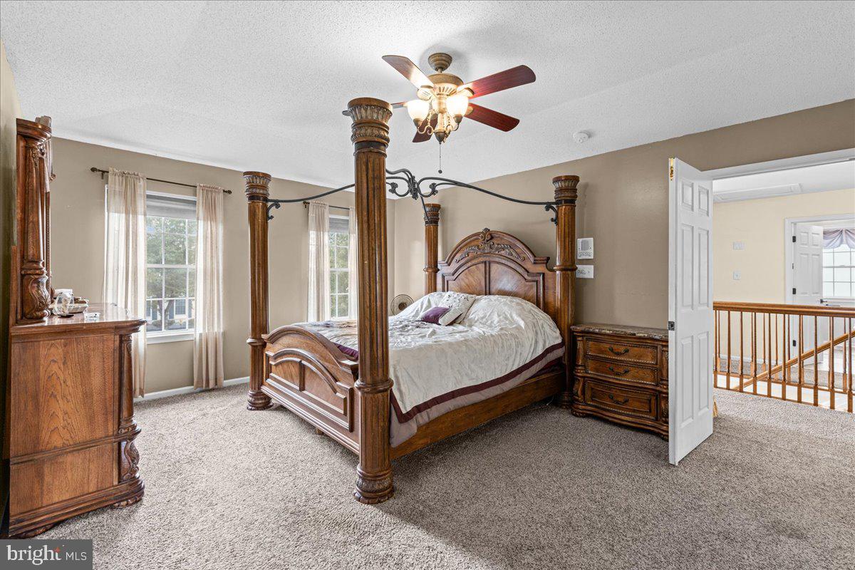4 Dimsdale Dr Property Photo 33