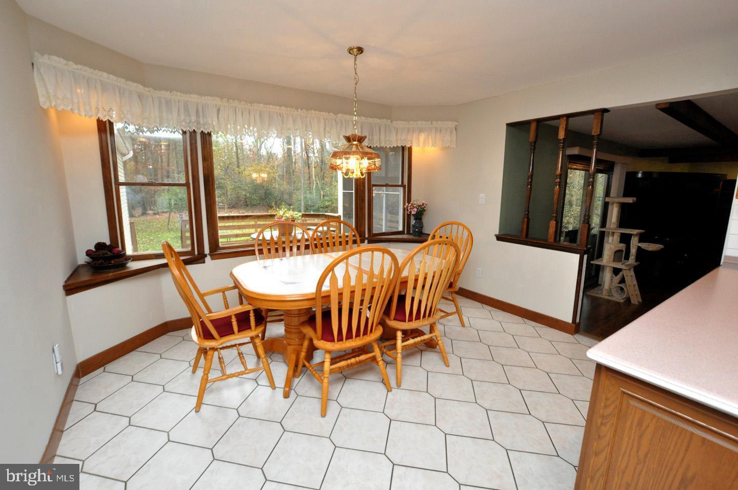 107 Shadow Lake Dr Property Photo 19