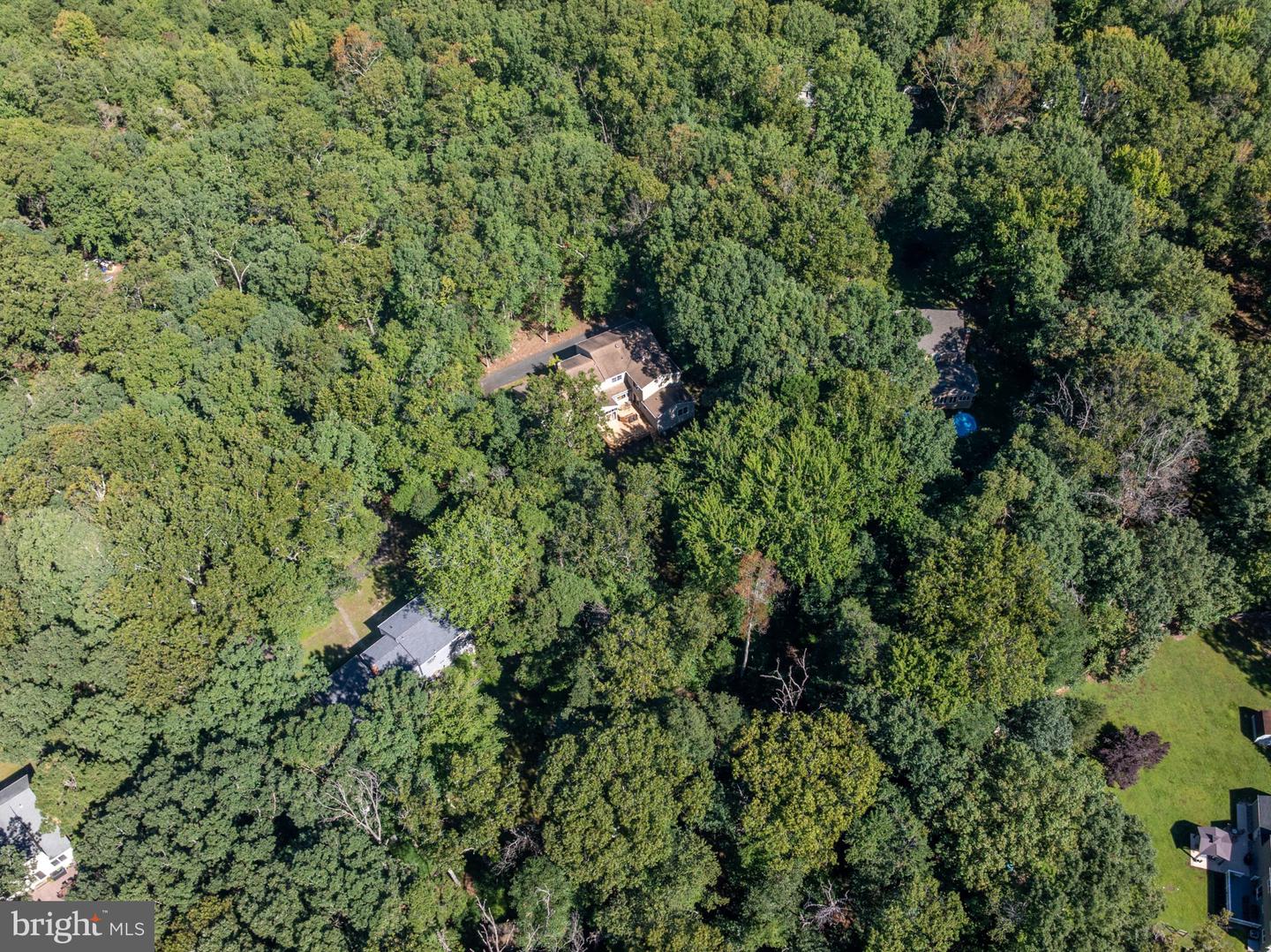 107 Shadow Lake Dr Property Photo 45
