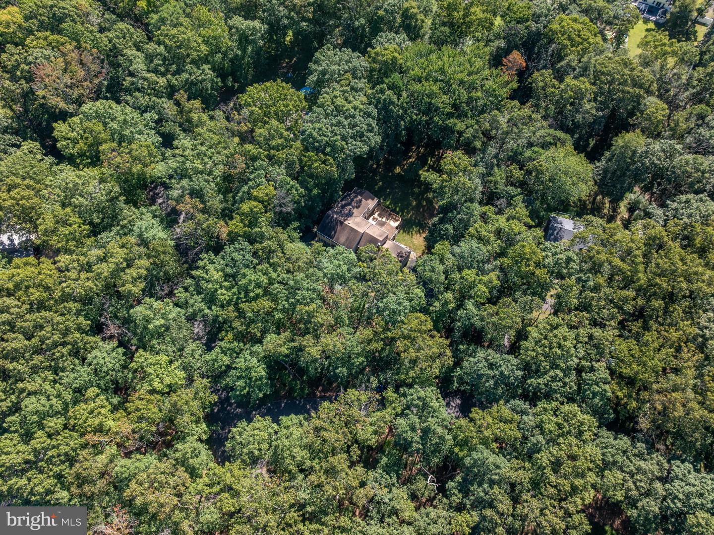 107 Shadow Lake Dr Property Photo 49