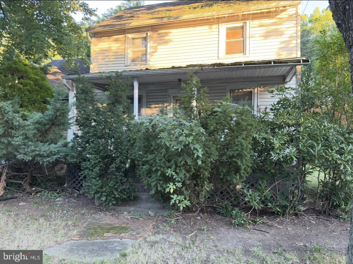 46 Beech Property Photo 4