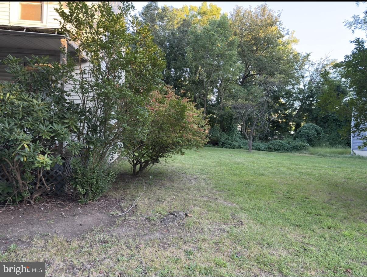 46 Beech Property Photo 5