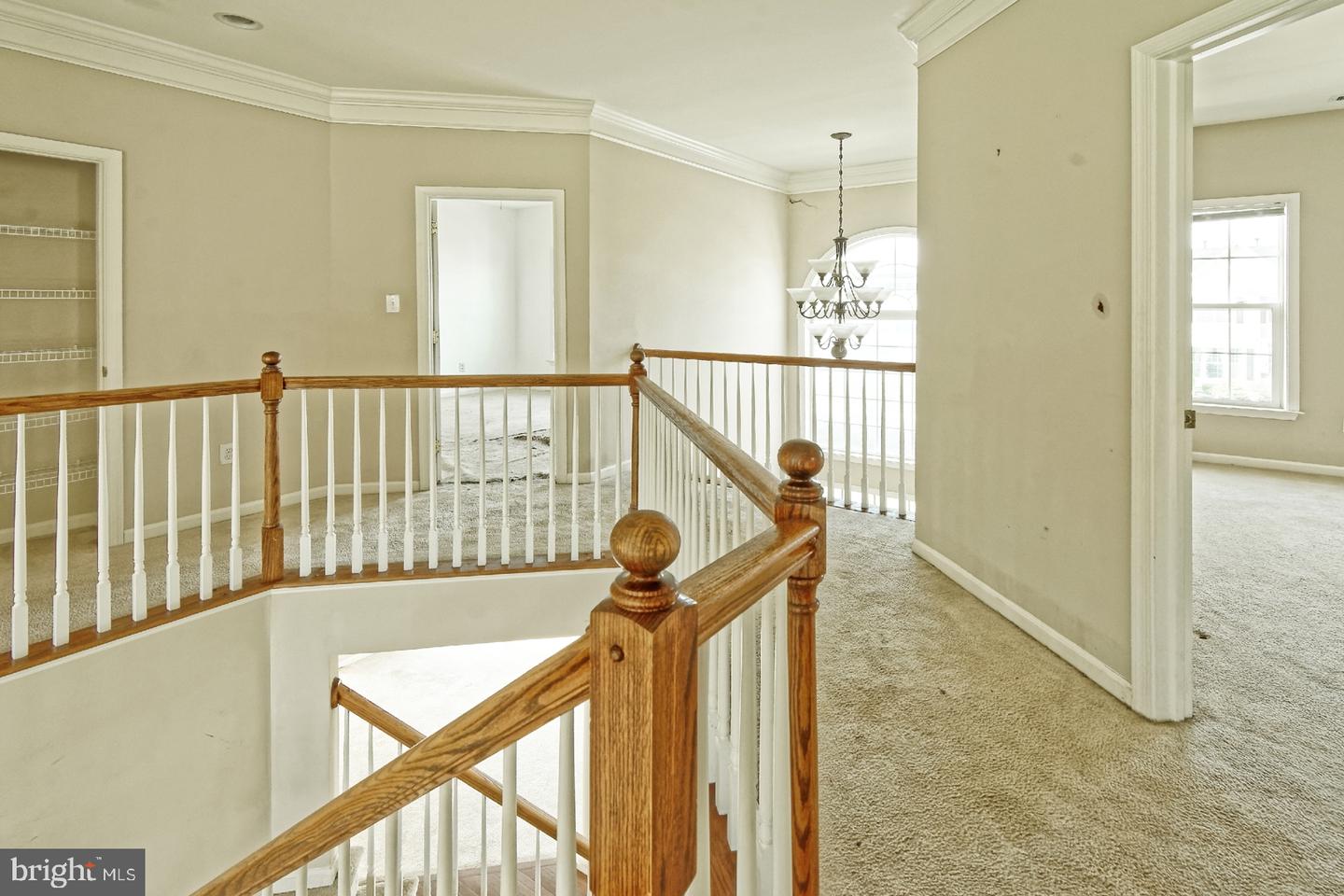 7 Dudley Dr Property Photo 20