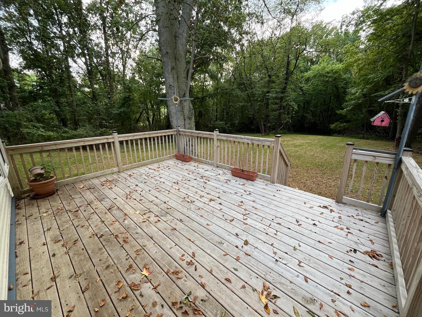 230 Burrs Rd Property Photo 42