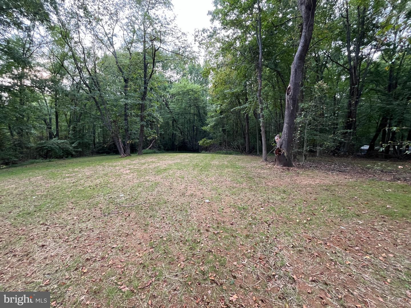 230 Burrs Rd Property Photo 44